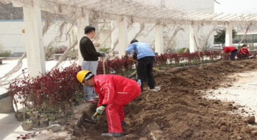 AG��˾(�й���)�����޹�˾����