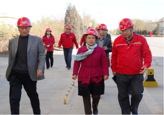 AG��˾(�й���)�����޹�˾����